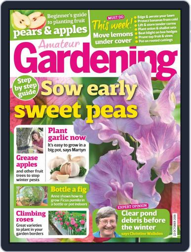 Amateur Gardening October 22nd, 2016 Digital Back Issue Cover