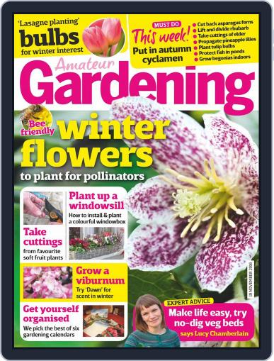 Amateur Gardening November 19th, 2016 Digital Back Issue Cover