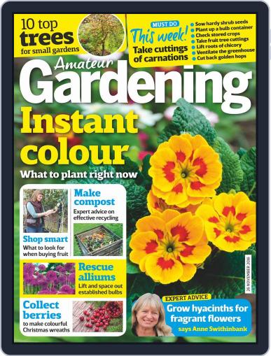 Amateur Gardening November 26th, 2016 Digital Back Issue Cover