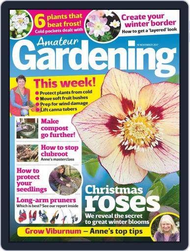 Amateur Gardening November 18th, 2017 Digital Back Issue Cover