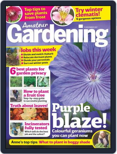 Amateur Gardening November 25th, 2017 Digital Back Issue Cover
