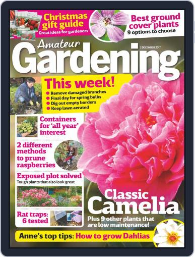 Amateur Gardening December 2nd, 2017 Digital Back Issue Cover