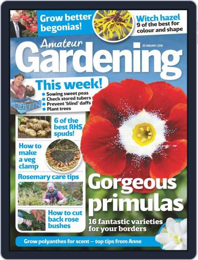 Amateur Gardening January 20th, 2018 Digital Back Issue Cover