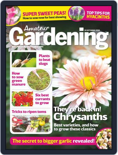 Amateur Gardening September 29th, 2018 Digital Back Issue Cover
