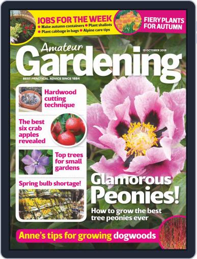 Amateur Gardening October 13th, 2018 Digital Back Issue Cover