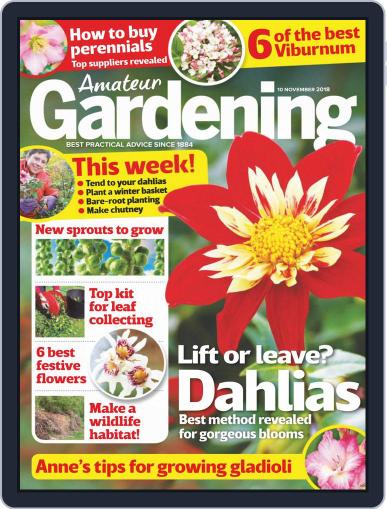 Amateur Gardening November 10th, 2018 Digital Back Issue Cover