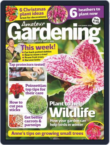 Amateur Gardening December 1st, 2018 Digital Back Issue Cover