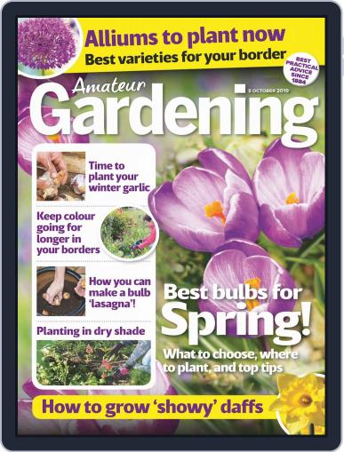 Amateur Gardening October 5th, 2019 Digital Back Issue Cover