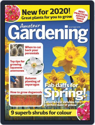 Amateur Gardening October 19th, 2019 Digital Back Issue Cover
