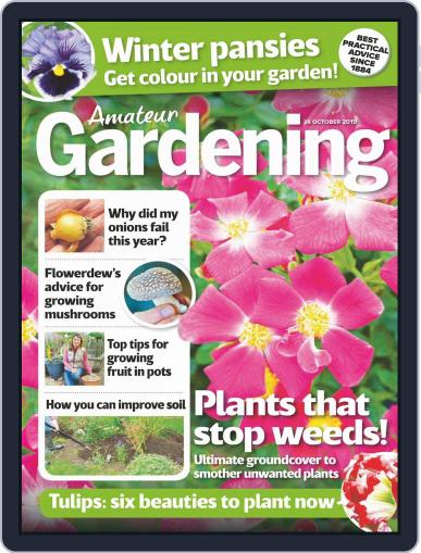 Amateur Gardening October 26th, 2019 Digital Back Issue Cover