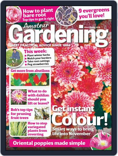 Amateur Gardening November 16th, 2019 Digital Back Issue Cover