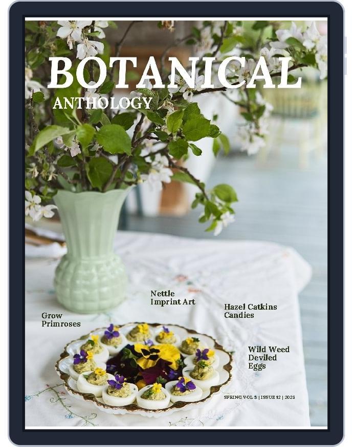 Botanical Anthology (Digital) Subscription                    March 1st, 2025 Issue