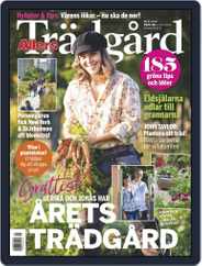 Allers Trädgård (Digital) Subscription                    September 1st, 2018 Issue