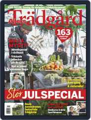 Allers Trädgård (Digital) Subscription                    November 1st, 2018 Issue