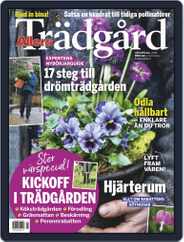 Allers Trädgård (Digital) Subscription                    March 1st, 2019 Issue