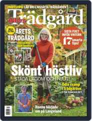 Allers Trädgård (Digital) Subscription                    October 1st, 2019 Issue
