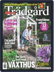 Allers Trädgård (Digital) Subscription                    February 1st, 2020 Issue