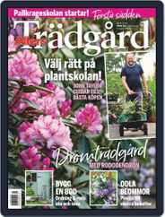 Allers Trädgård (Digital) Subscription                    April 1st, 2020 Issue