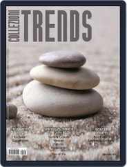 Collezioni Trends (Digital) Subscription                    December 19th, 2013 Issue