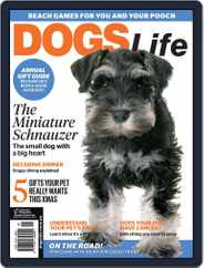 Dogs Life (Digital) Subscription November 1st, 2017 Issue