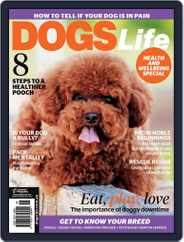 Dogs Life (Digital) Subscription May 1st, 2017 Issue