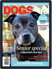 Dogs Life (Digital) Subscription September 1st, 2016 Issue