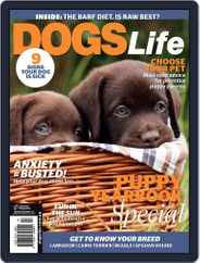 Dogs Life (Digital) Subscription December 16th, 2015 Issue