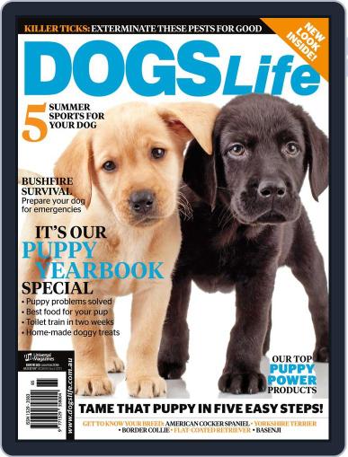 Dogs Life December 17th, 2013 Digital Back Issue Cover