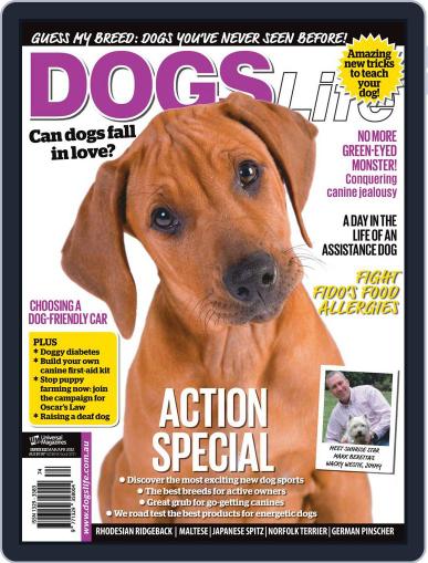 Dogs Life February 14th, 2012 Digital Back Issue Cover