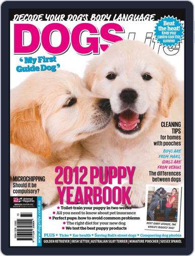 Dogs Life December 13th, 2011 Digital Back Issue Cover