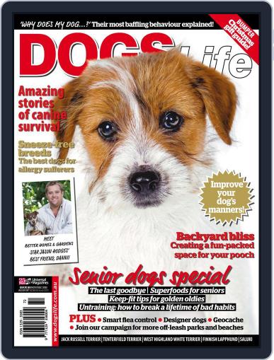 Dogs Life November 22nd, 2011 Digital Back Issue Cover
