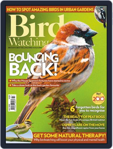 Bird Watching July 1st, 2020 Digital Back Issue Cover