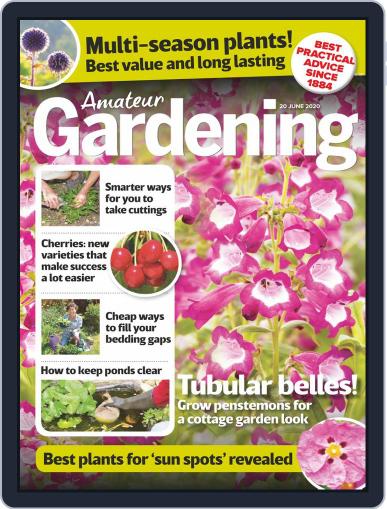 Amateur Gardening June 20th, 2020 Digital Back Issue Cover