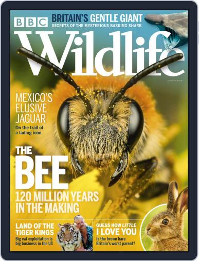 Bbc Wildlife July 1st, 2020 Digital Back Issue Cover