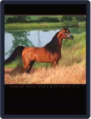 Arabian Horse World (Digital) Subscription                    November 19th, 2013 Issue