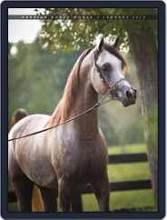 Arabian Horse World (Digital) Subscription                    February 5th, 2013 Issue