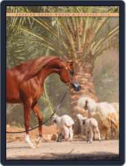 Arabian Horse World (Digital) Subscription                    October 17th, 2012 Issue