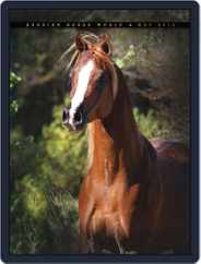 Arabian Horse World (Digital) Subscription                    May 17th, 2012 Issue