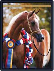Arabian Horse World (Digital) Subscription                    December 19th, 2011 Issue