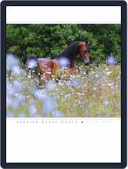 Arabian Horse World (Digital) Subscription                    July 15th, 2011 Issue