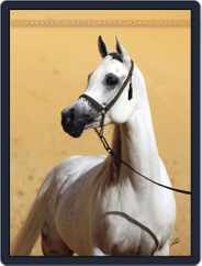 Arabian Horse World (Digital) Subscription                    May 13th, 2011 Issue