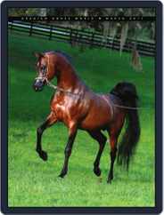 Arabian Horse World (Digital) Subscription                    March 23rd, 2011 Issue