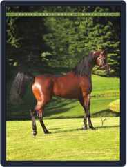 Arabian Horse World (Digital) Subscription                    March 11th, 2010 Issue