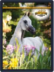 Arabian Horse World (Digital) Subscription                    October 8th, 2009 Issue