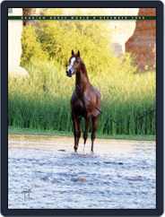 Arabian Horse World (Digital) Subscription                    December 22nd, 2008 Issue
