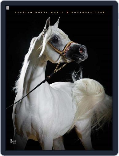 Arabian Horse World November 25th, 2008 Digital Back Issue Cover