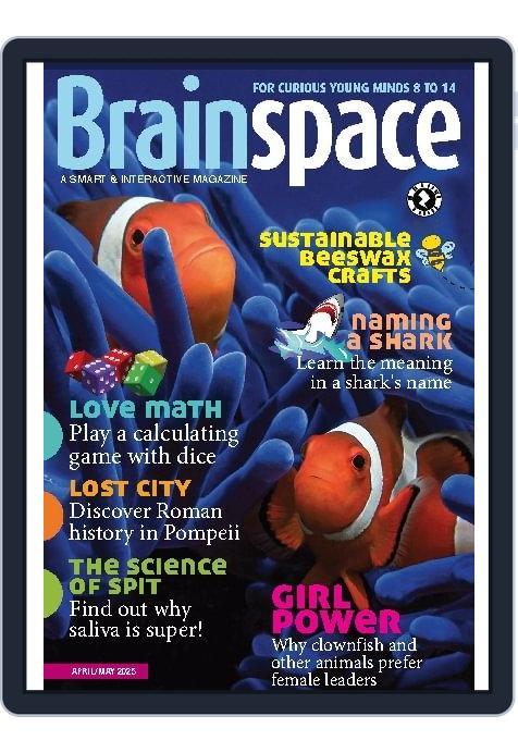 Brainspace (Digital) Subscription                    April 1st, 2025 Issue
