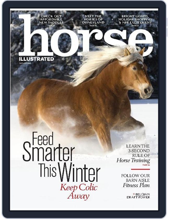 Horse Illustrated December 1st, 2017 Digital Back Issue Cover
