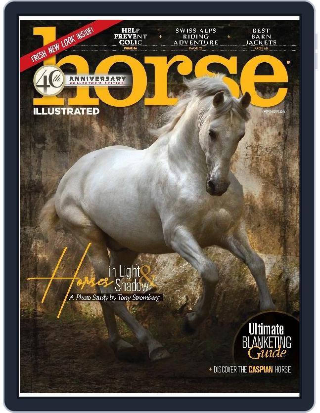 Horse Illustrated November 1st, 2016 Digital Back Issue Cover