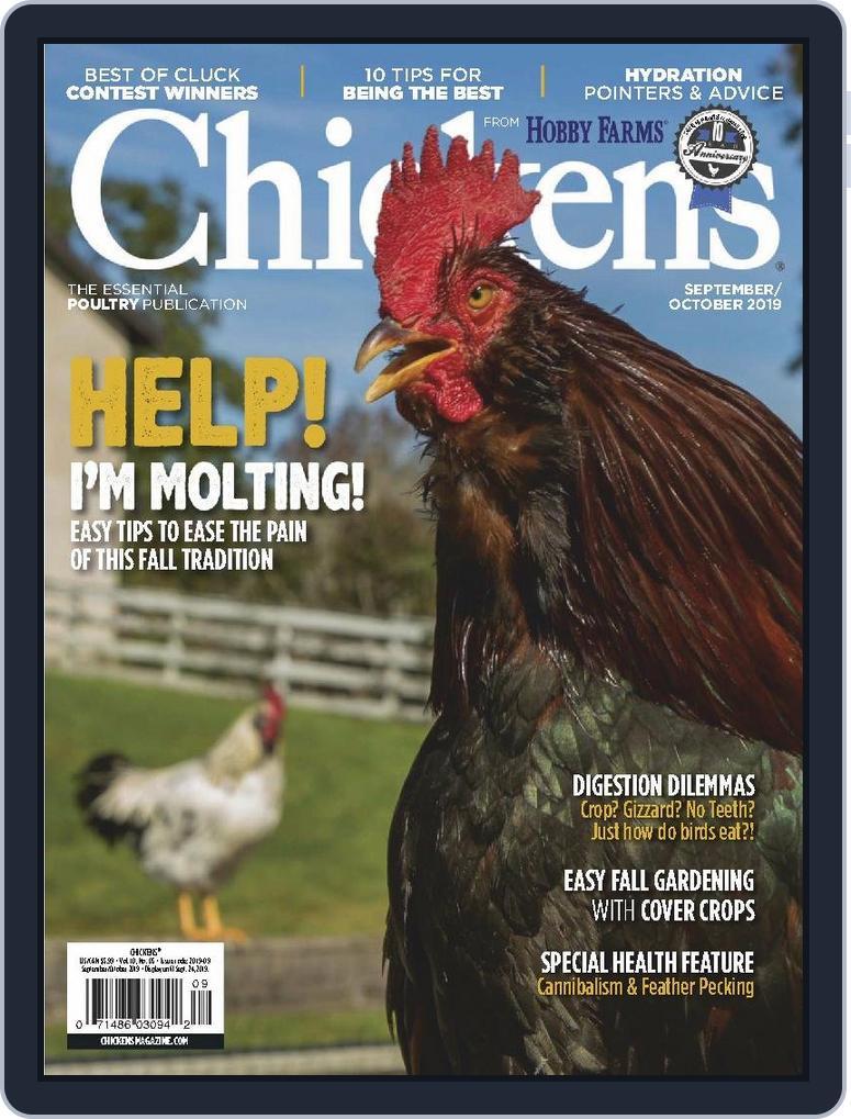 Chickens September 1st, 2019 Digital Back Issue Cover